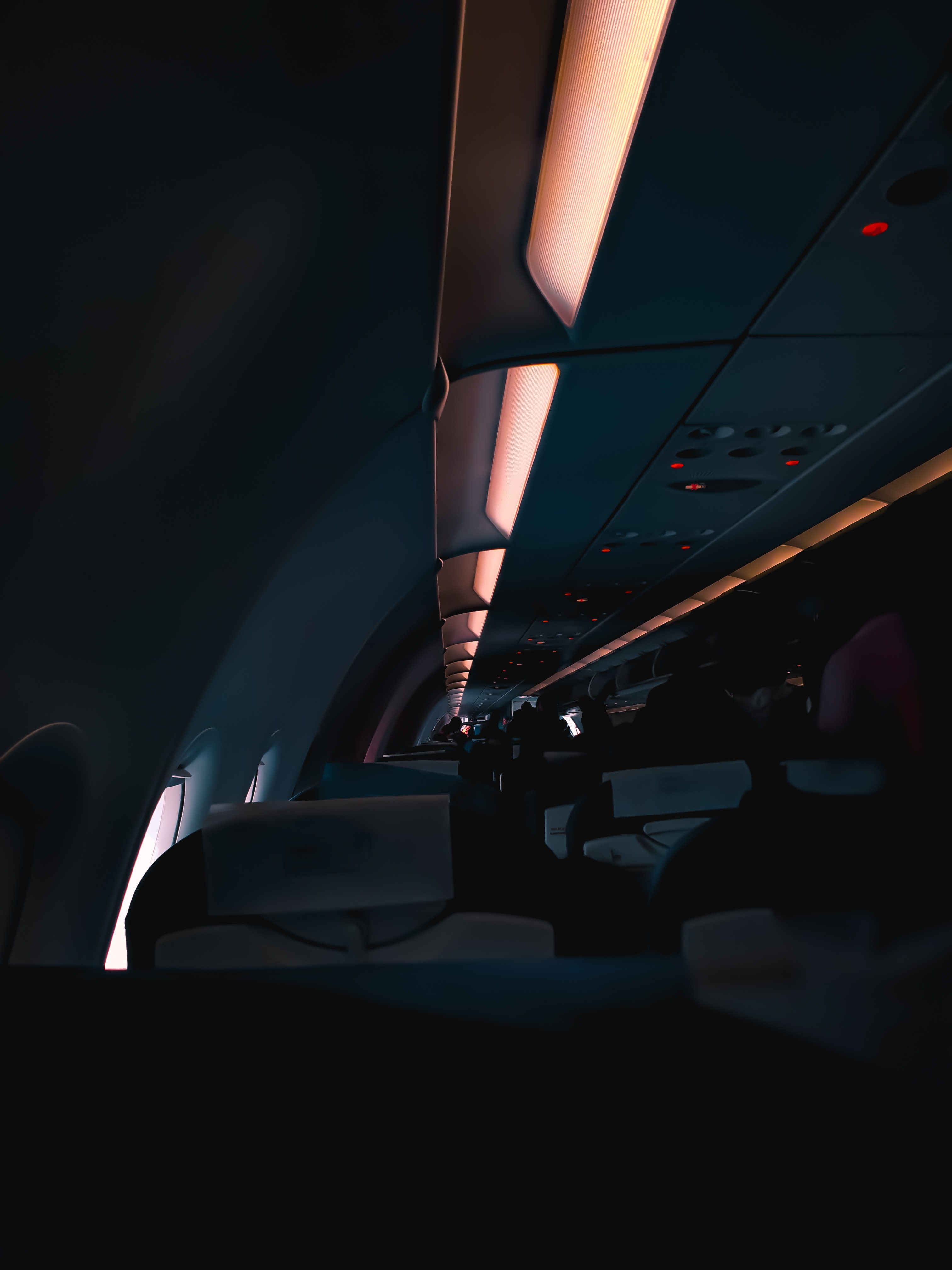 Backseat
